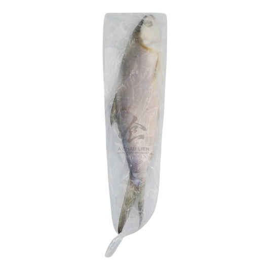 FROZEN MILKFISH IQF/IWP 10% (16-18PCS | 500/800g) 1 x 10kg JONA