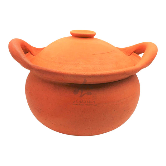 CLAY POT 10" 1 x 25.4cm TWIN DRAGON