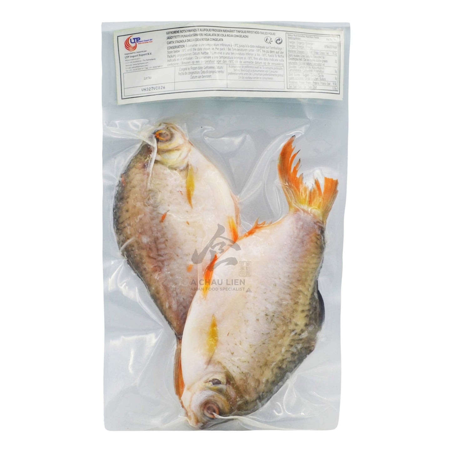 FROZEN RED TAILED TINFOIL 34/38 12kg DOUBLE PANDA