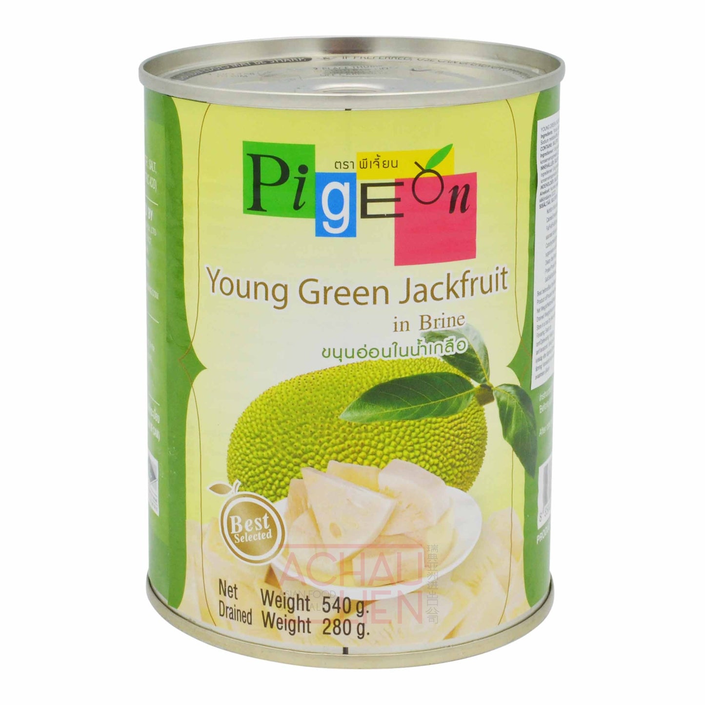 GREEN JACKFRUIT IN BRINE 24 x 565g PIGEON