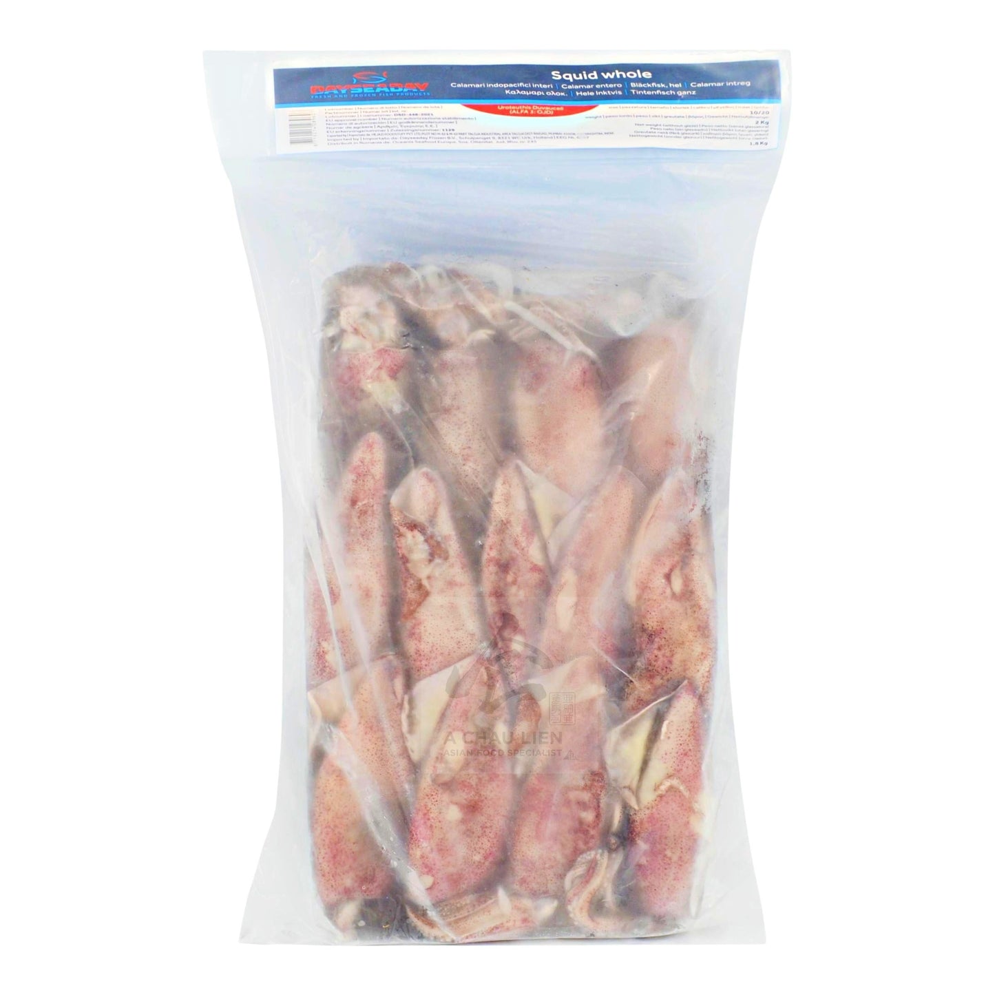 FROZEN SQUID WHOLE 10/20 ID 6 x 2kg DAYSEADAY