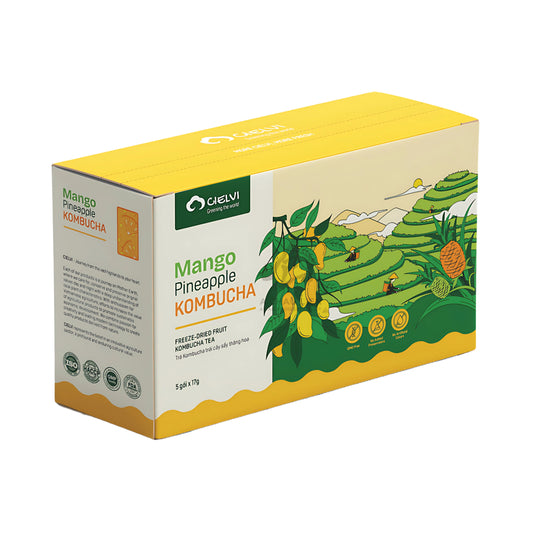 FREEZE-DRIED MANGO PINEAPPLE KOMBUCHA TEA 24 x 119g CIELVI