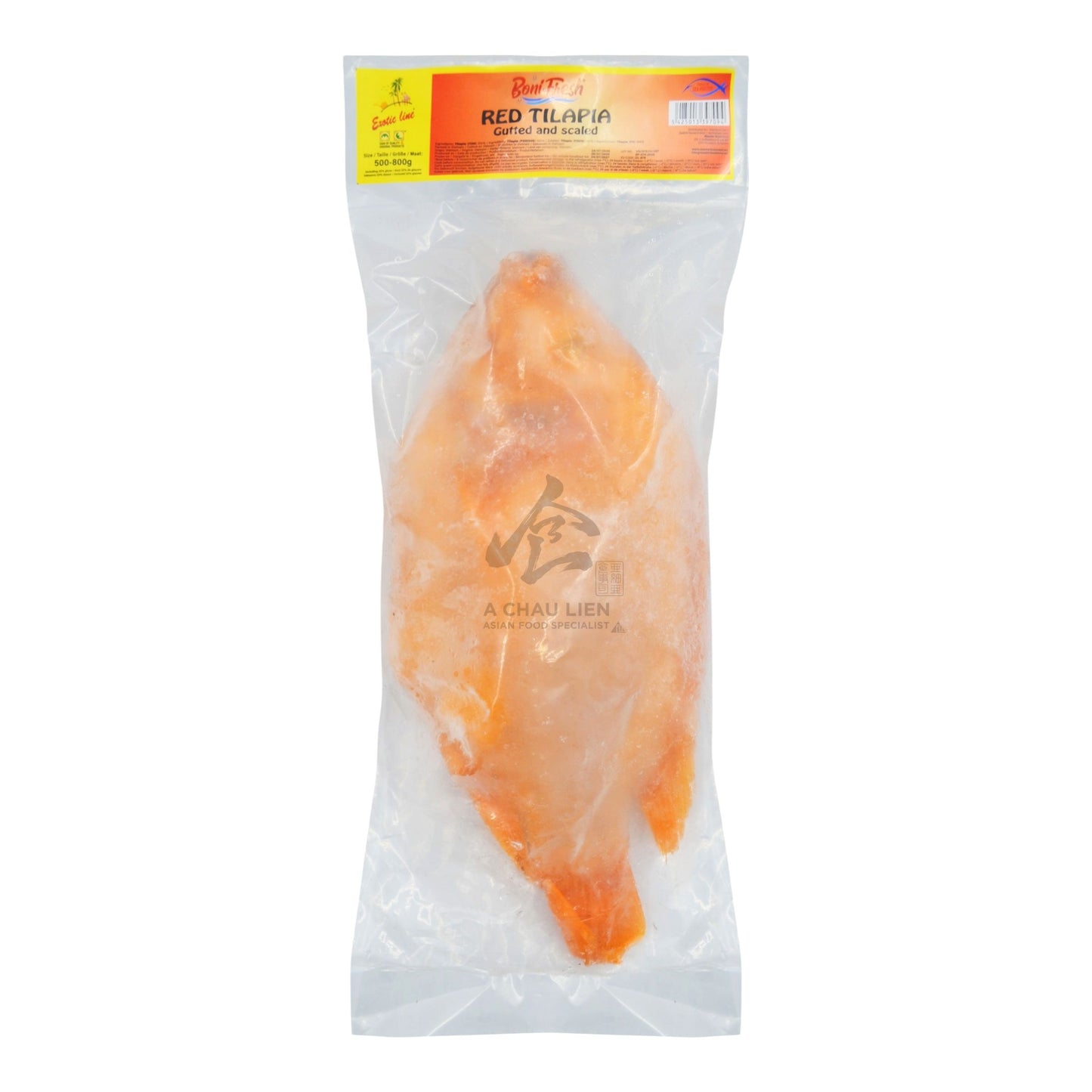 RED TILAPIA 4 x 500-800g BONI FRESH