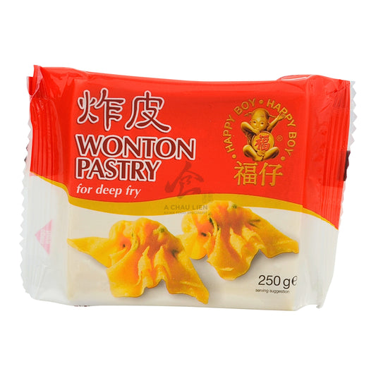 WONTON PASTRY DEEP FRY 48 x 250g HAPPY BOY