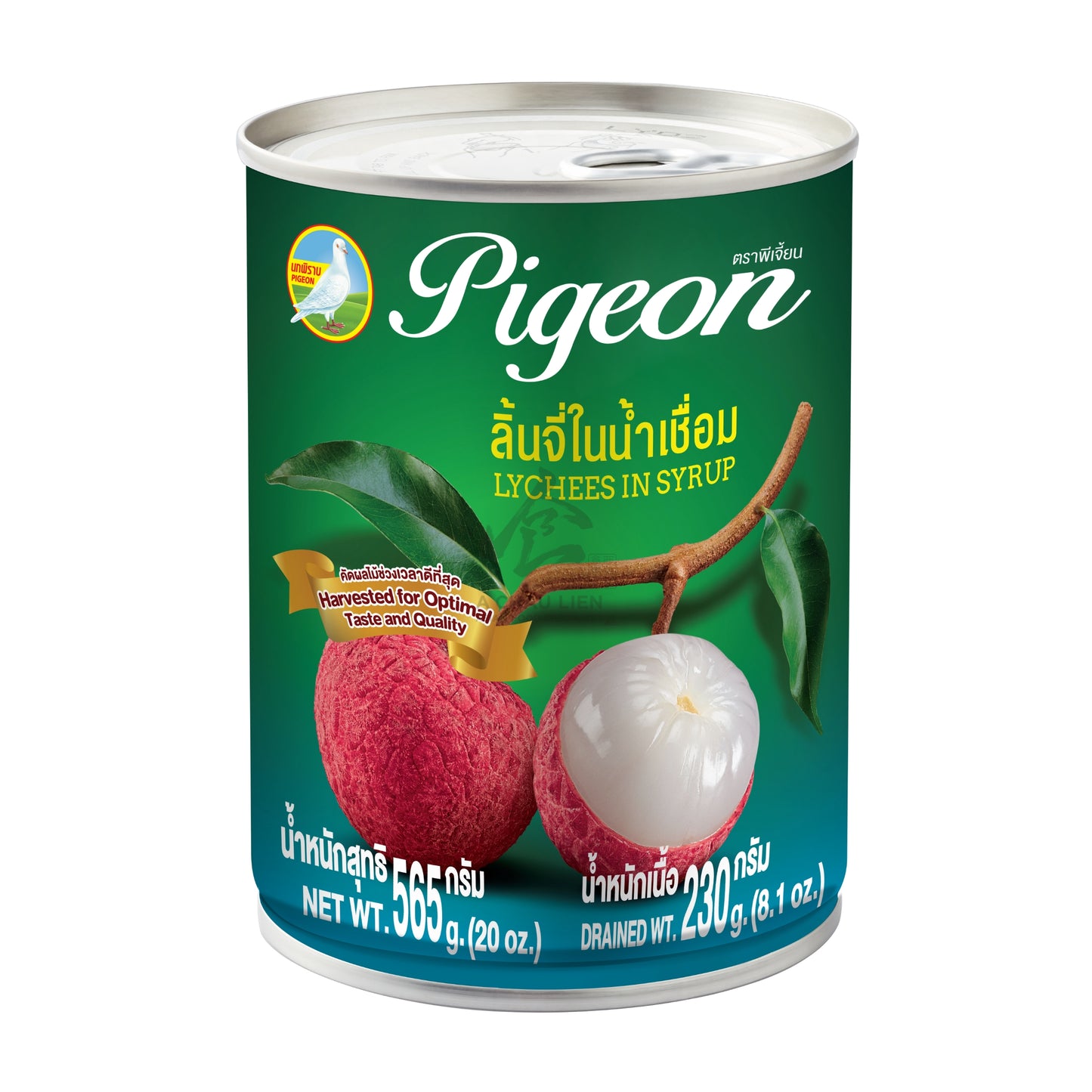 LYCHEE IN SYRUP 24 x 565g PIGEON