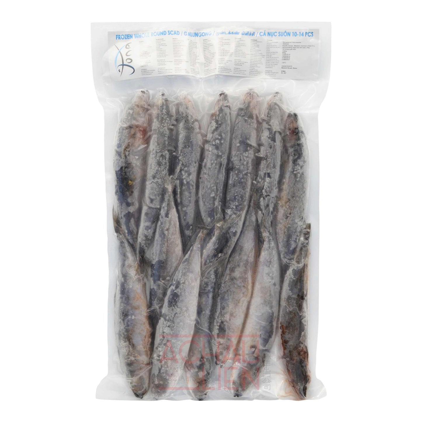 FROZEN WHOLE ROUND SCAD 10-14 PCS 10 x 100g VN JONA