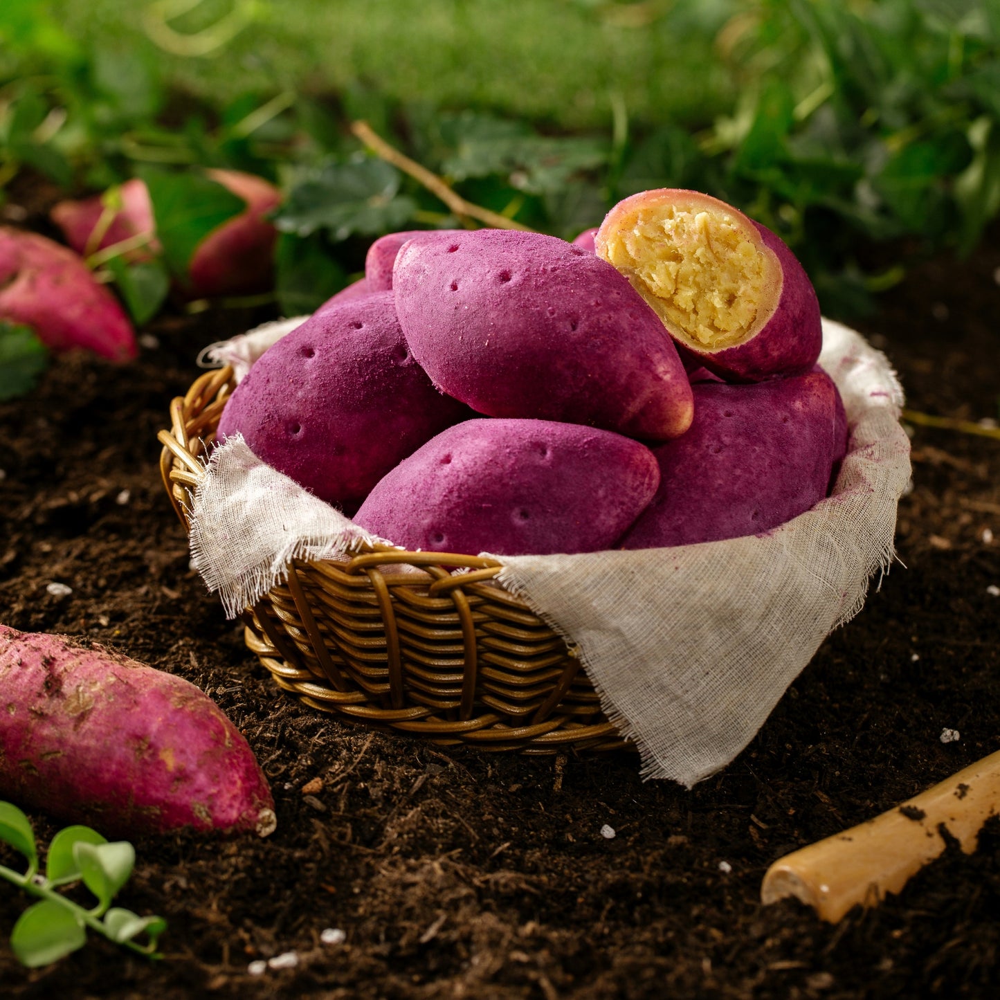 PREMIUM SWEET POTATO BREAD (6PCS X 80G) 8 x 480g DAEDOO