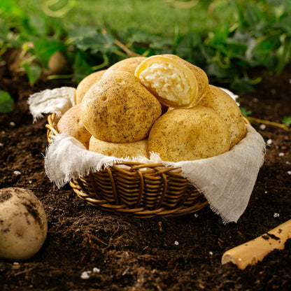 PREMIUM POTATO BREAD (6PCS X 80G) 8 x 480g DAEDOO